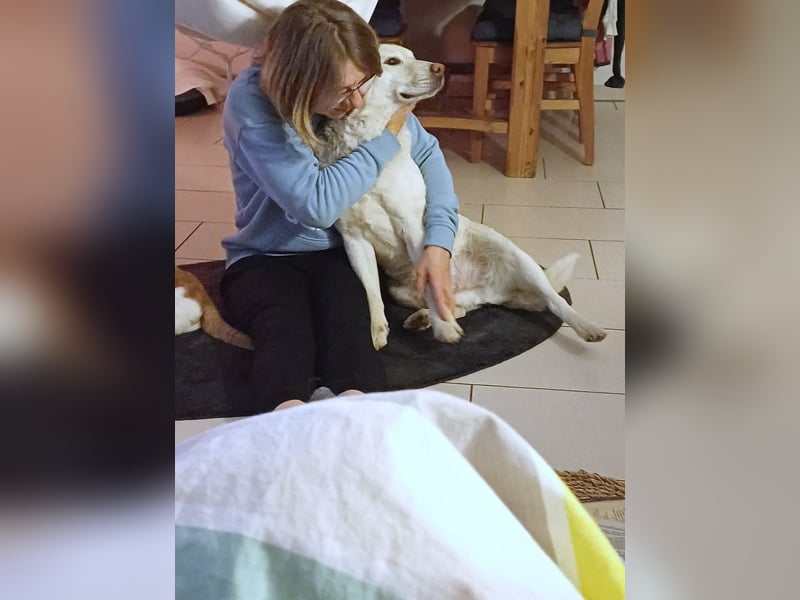 Fifi -  Herzensmenschen gesucht