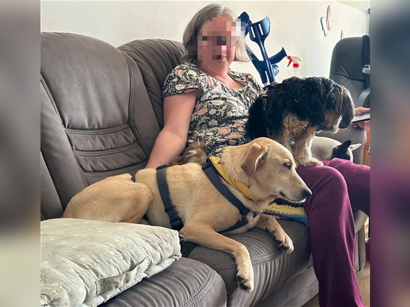 Samson - blind - sucht ein neues Zuhause