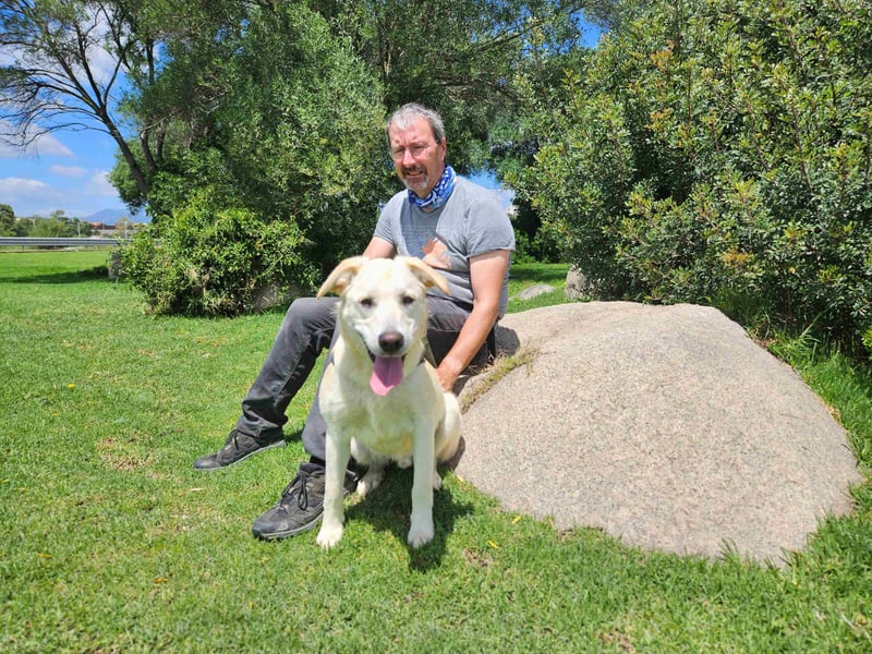 Victory: toller Familienhund