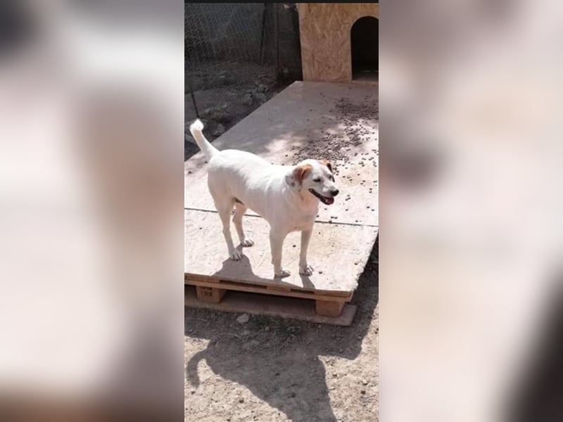 Familie mit Couch gesucht