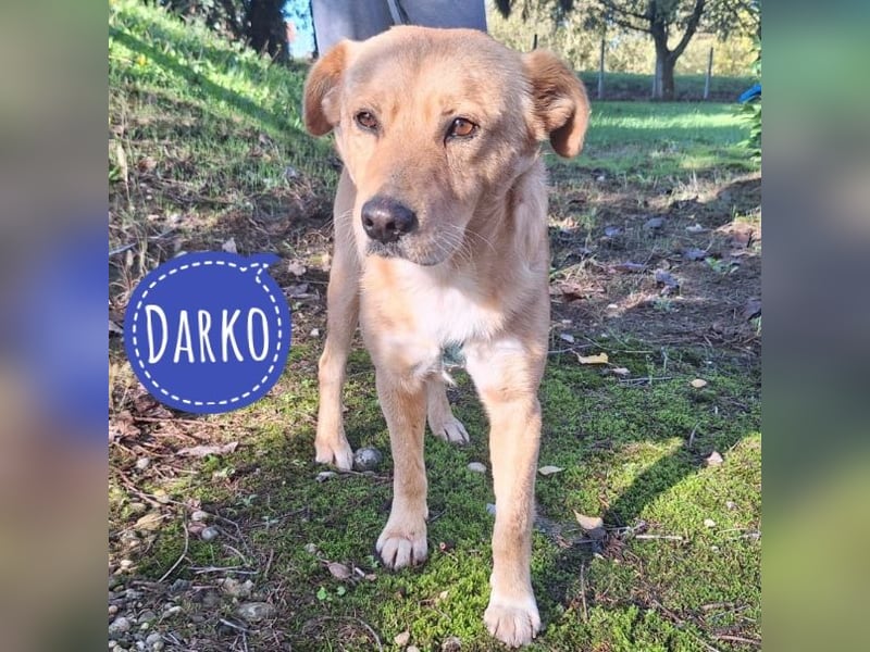 Darko ein lieber Schatz