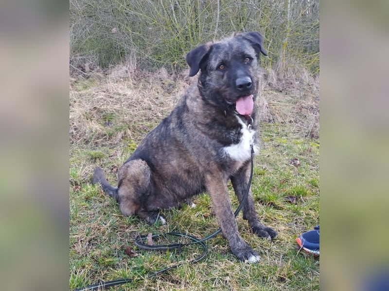 Duke wünscht sich so sehr eine 2. Chance