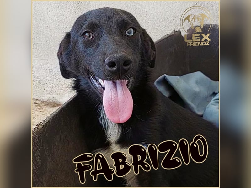 Bezaubernder FABRIZIO sucht Familie