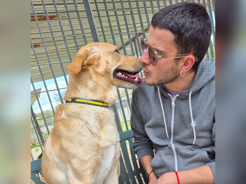 Akash - für mehr Lachen, Leben und Liebe in deinem Alltag