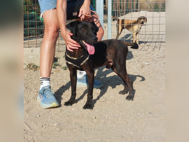 Lucignolo: einfach nur Zucker