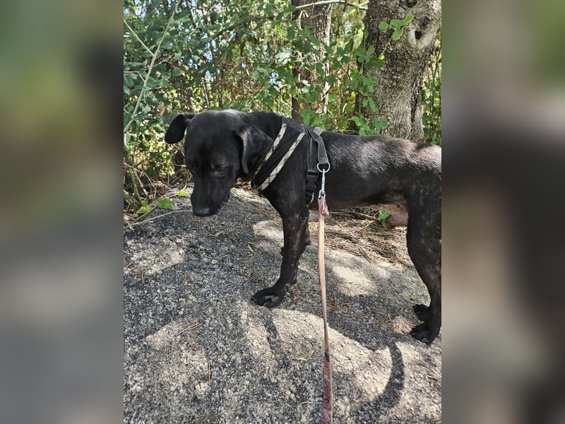 Lucignolo: einfach nur Zucker