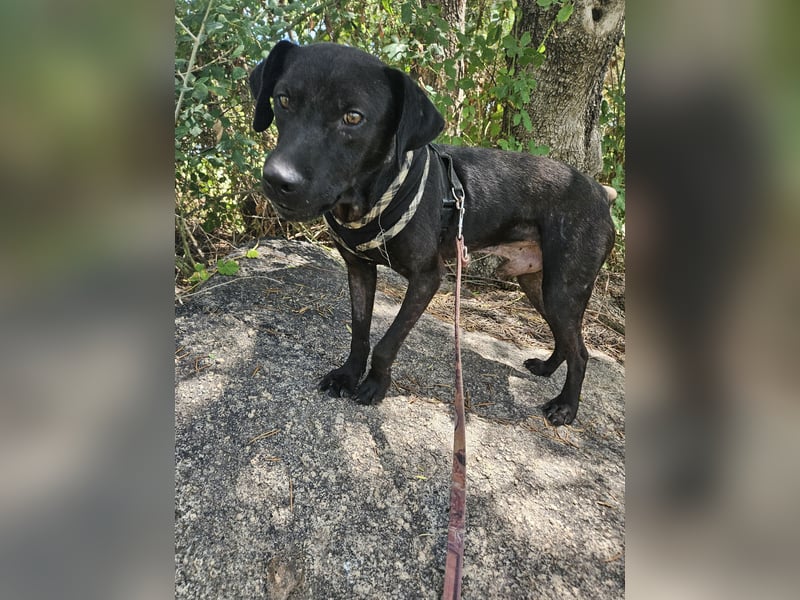 Lucignolo: einfach nur Zucker