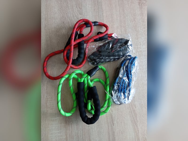 Labradorwelpen reinrassig vom Dorf mit tollem Starterpaket