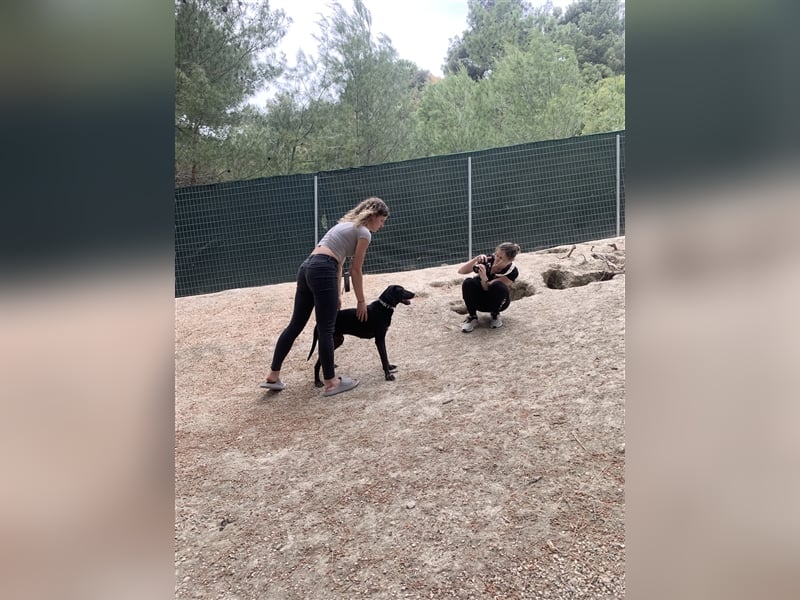 Kleiner Charmeur PAVLOS (3 Jahre) sucht eine Familie!