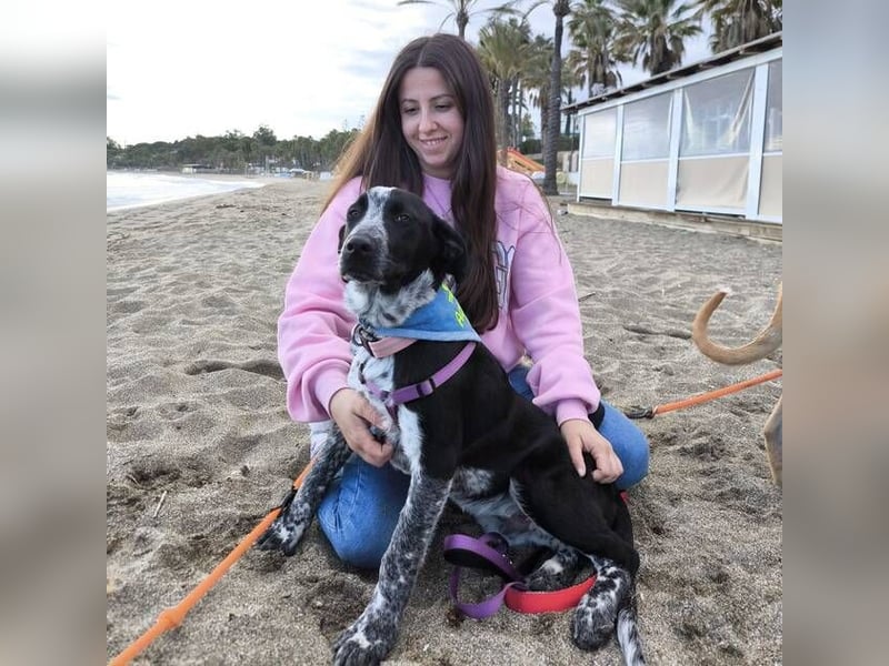 Kiko  (Spanien) – ein fröhlicher Junghund sucht sein Für-immer-Zuhause