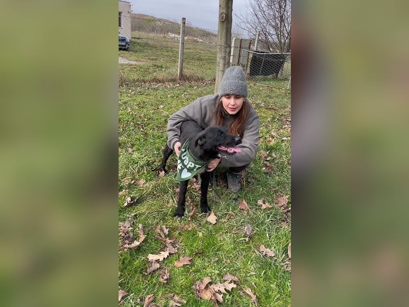 Ösz,, unglaublich lieb und menschenfreundlich
