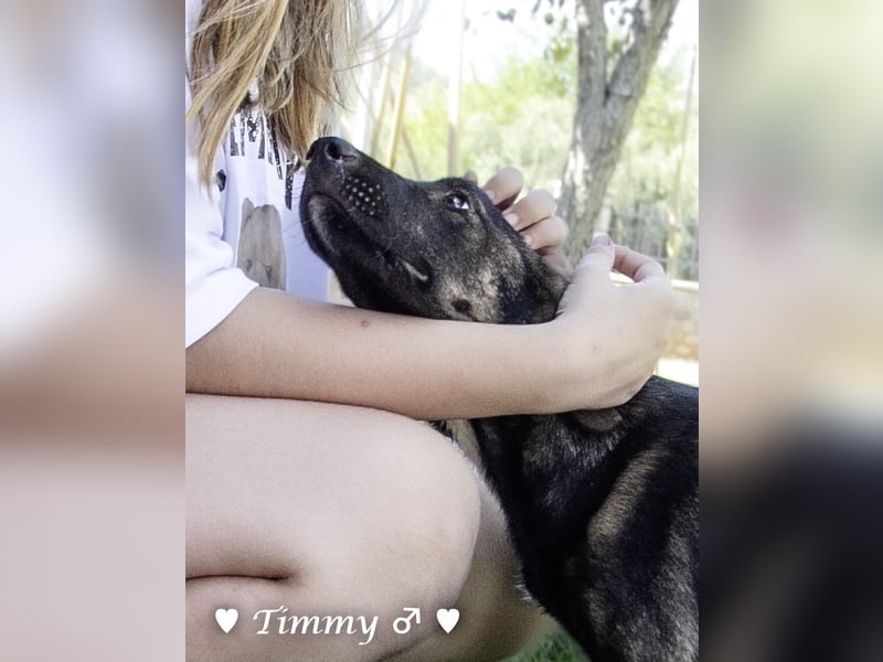 Adam, Ajax und Timmy suchen ein Zuhause