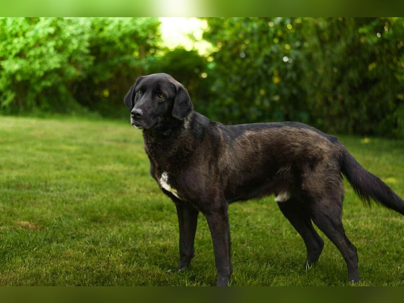 Pascha sucht seine Lieblingsmenschen