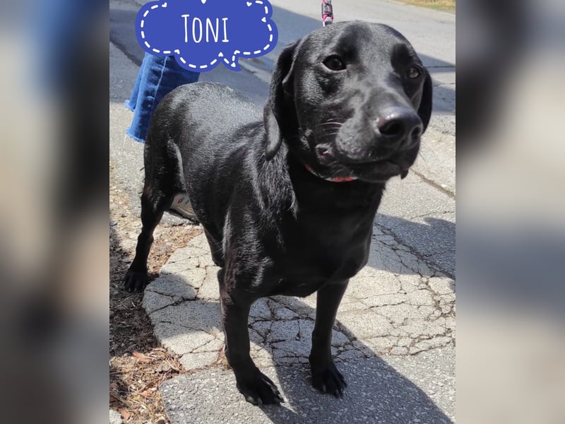 Toni ein fröhlicher sympathischer Bub