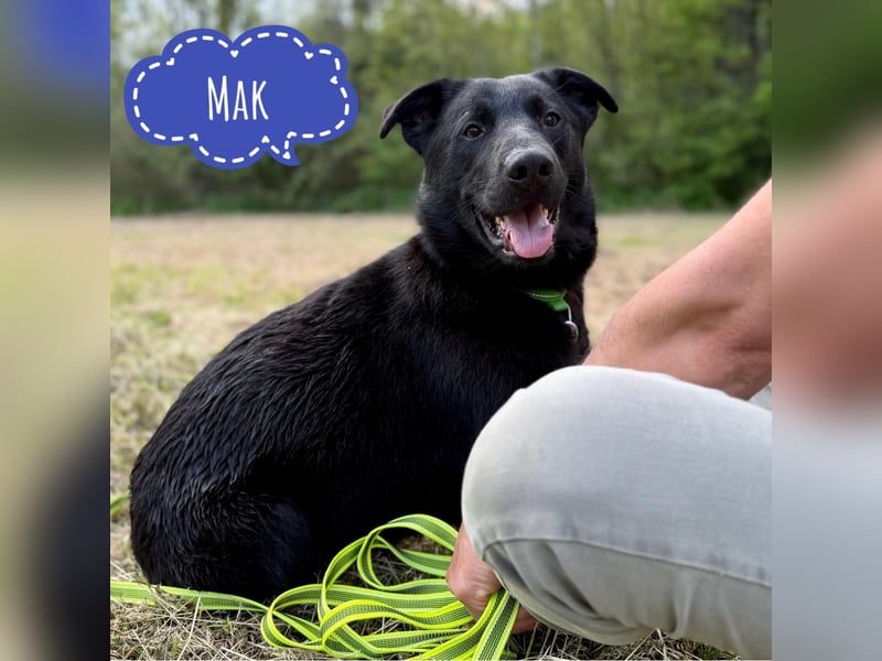 Mak ein tolles Wesen