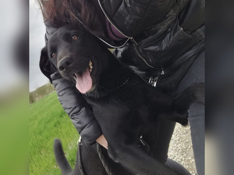 Cosmo ein hübscher Blickfang