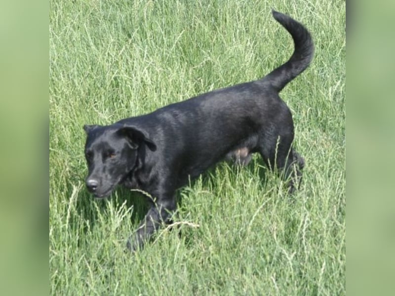 Sammy ein lustiger Kerlchen