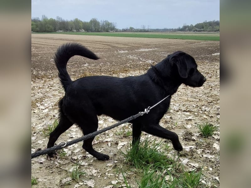 Cosmo ein hübscher Blickfang