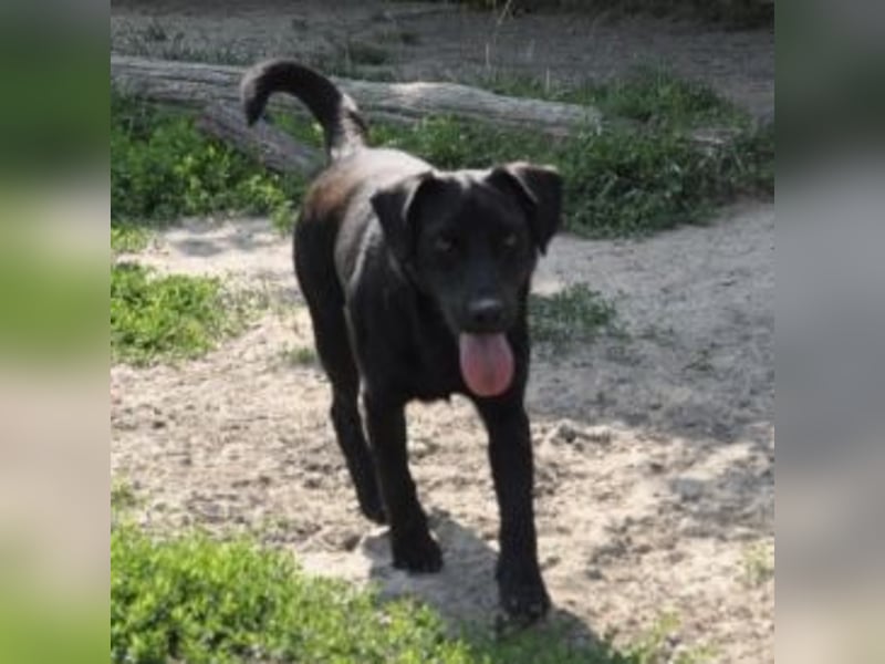 Sammy ein lustiger Kerlchen