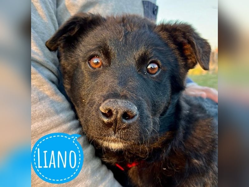 Liano