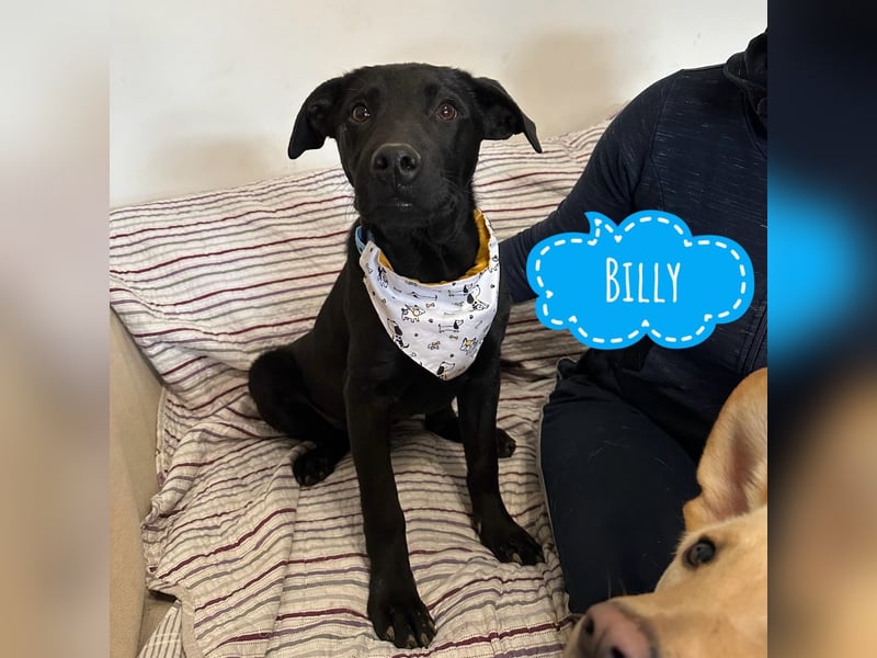 Billy ein riesen Baby
