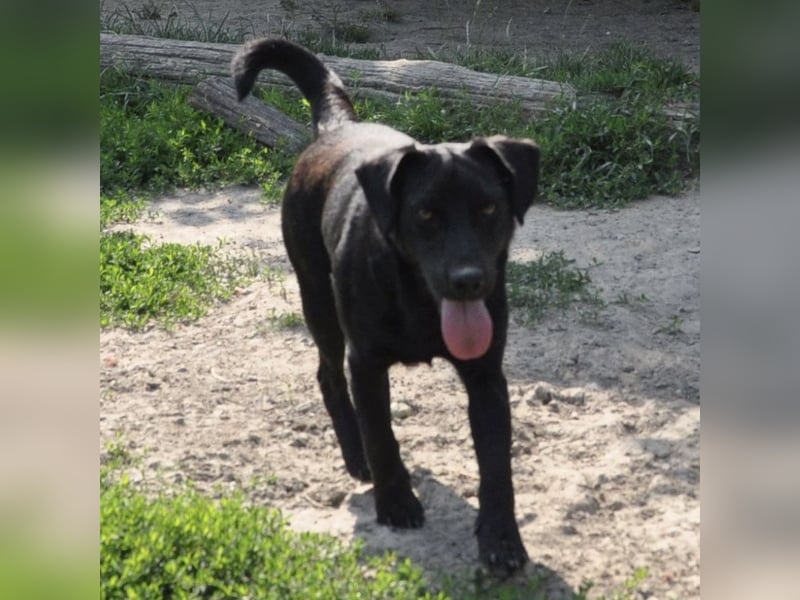 Sammy ein lustiger Kerlchen