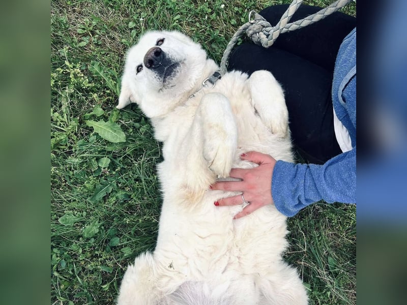 Jelko ein toller Kerl