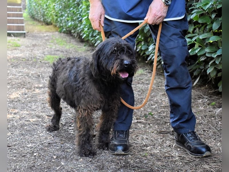 Rufino - 10 Schritte