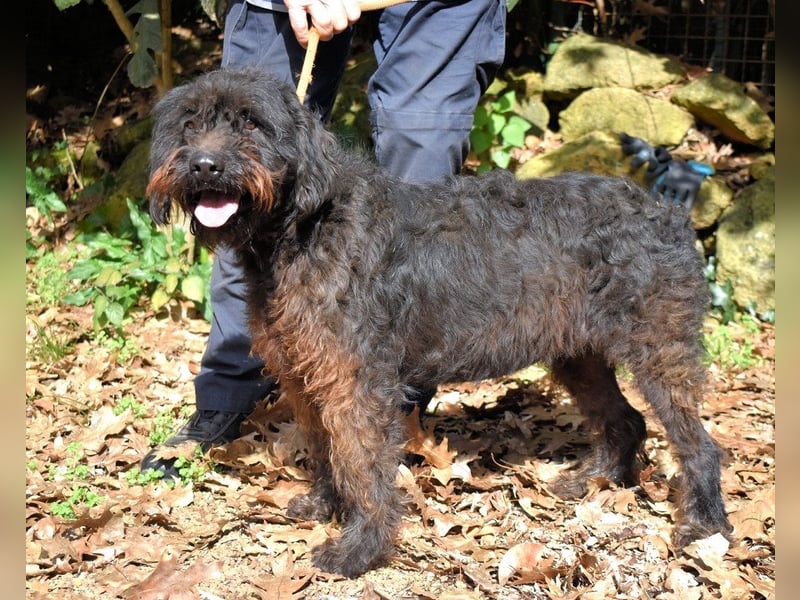 Rufino - 10 Schritte