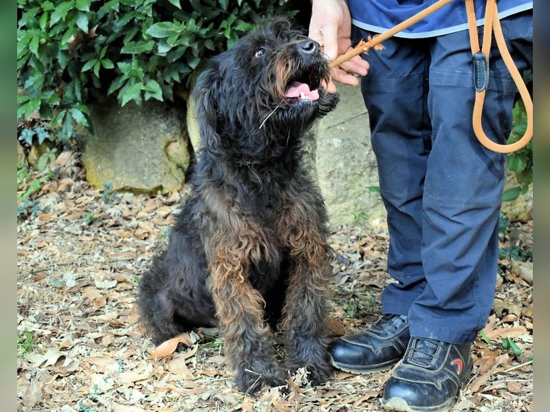 Rufino - 10 Schritte