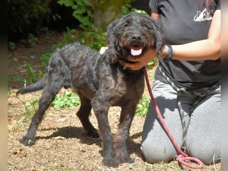 Rufino - 10 Schritte