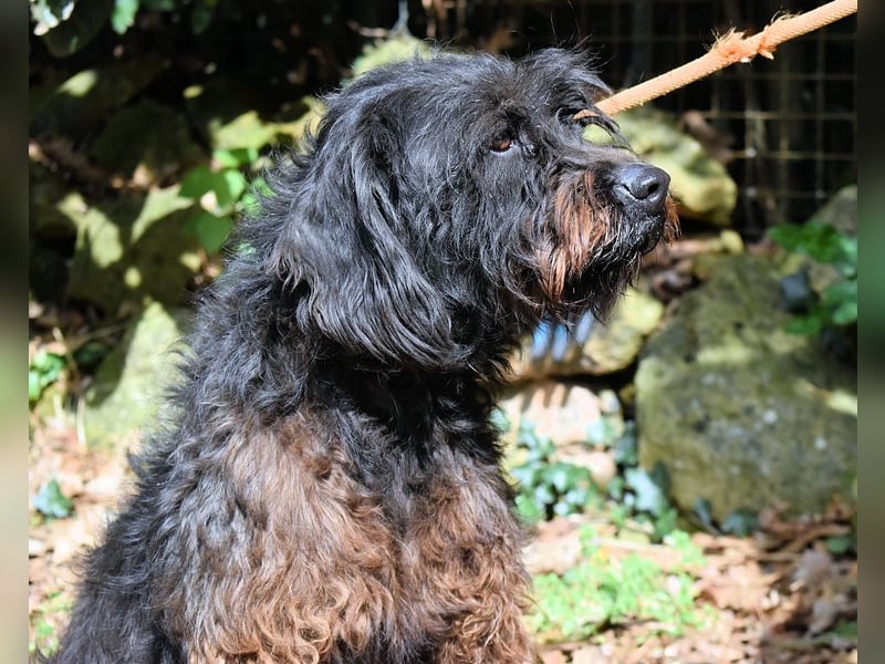 Rufino - 10 Schritte