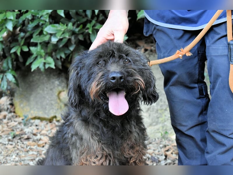 Rufino - 10 Schritte