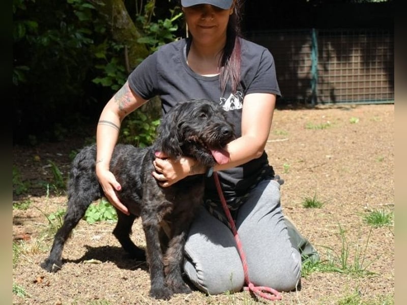 Rufino - 10 Schritte