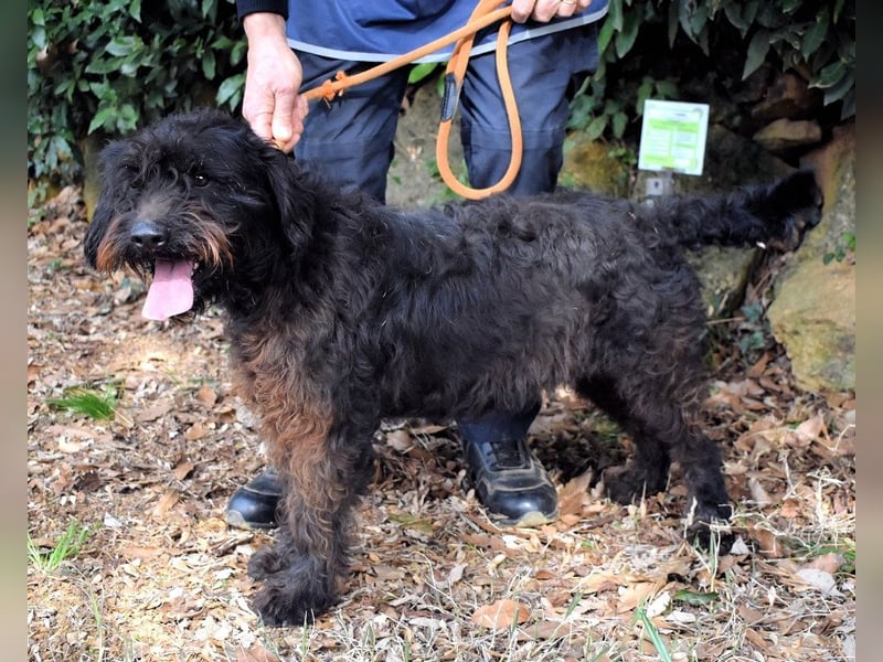 Rufino - 10 Schritte