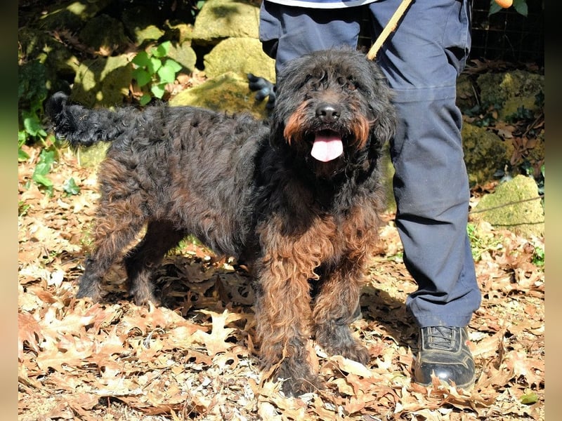 Rufino - 10 Schritte