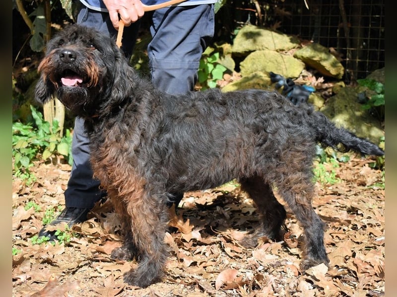 Rufino - 10 Schritte