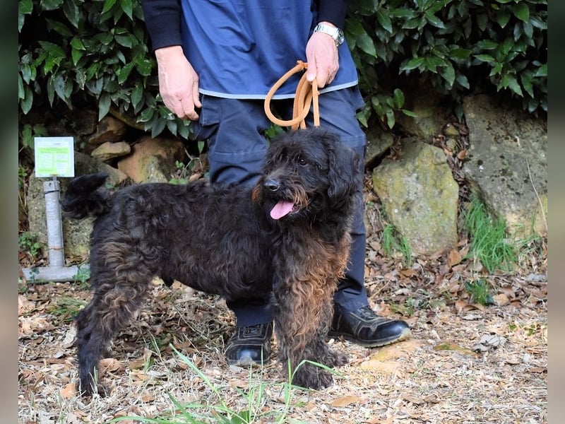 Rufino - 10 Schritte