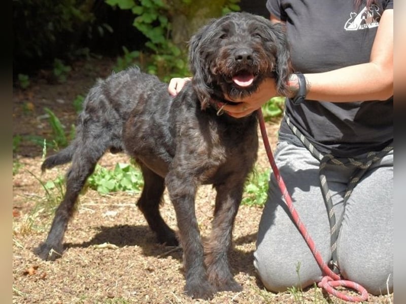 Rufino - 10 Schritte