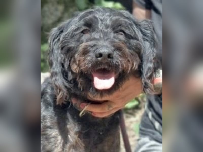 Rufino - 10 Schritte