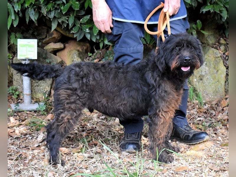 Rufino - 10 Schritte