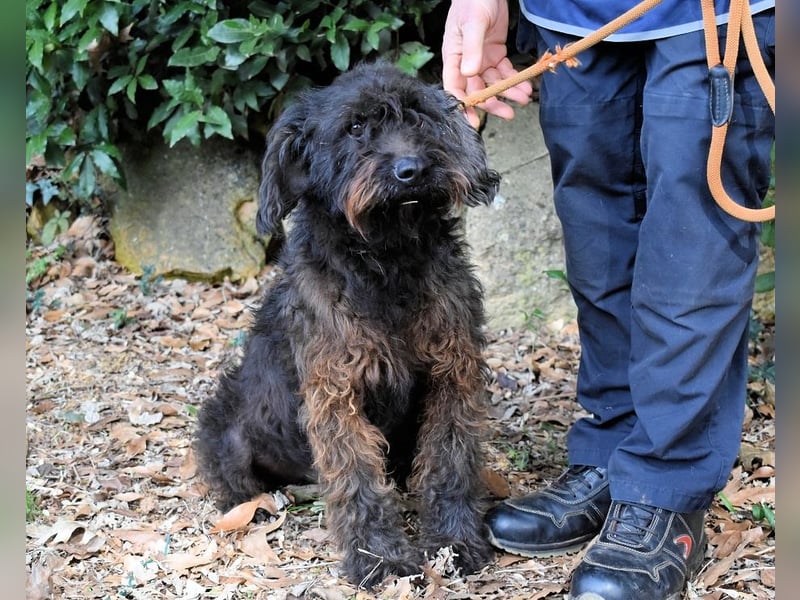 Rufino - 10 Schritte