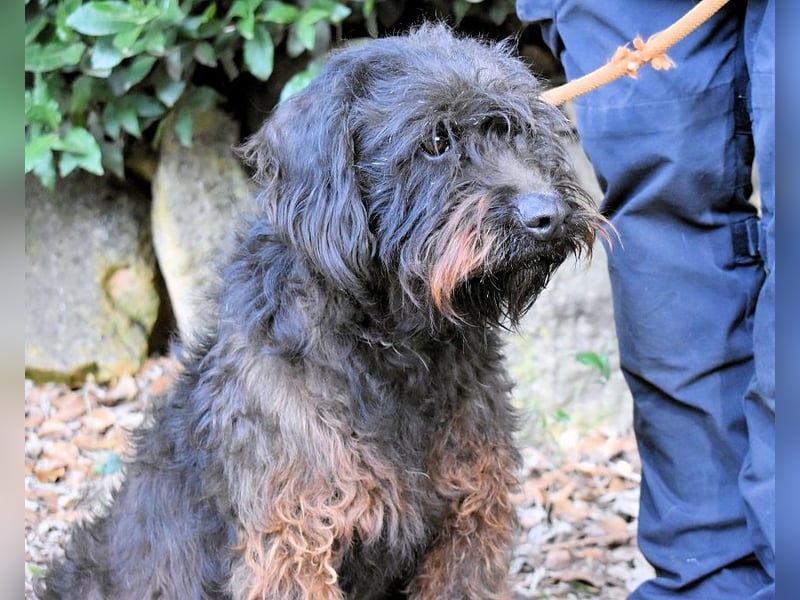 Rufino - 10 Schritte