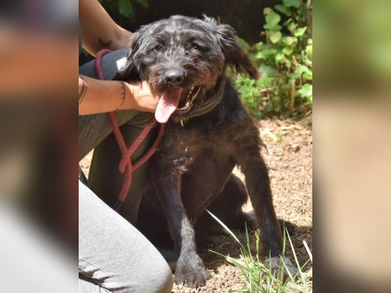 Rufino - 10 Schritte