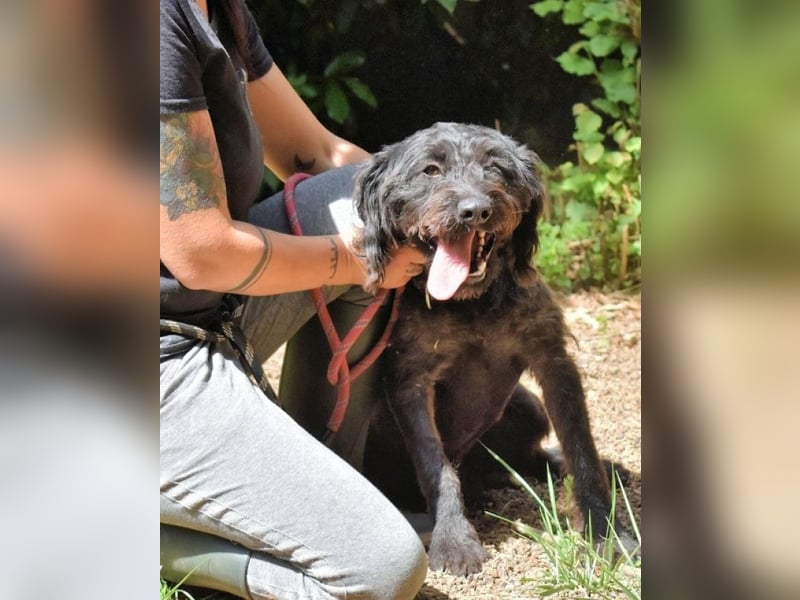 Rufino - 10 Schritte