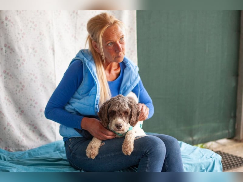 Rebecca - freundliche, verträgliche junge Hündin - Tierhilfe Franken e.V.