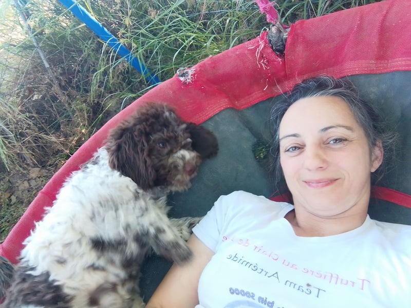 Lagotto Romagnolo Welpen