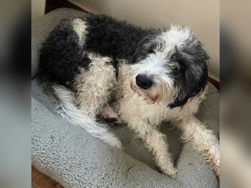 Lui - dem Elend entkommen.  Jetzt sucht Lui Menschen, die ihn "sehen"  und verstehen