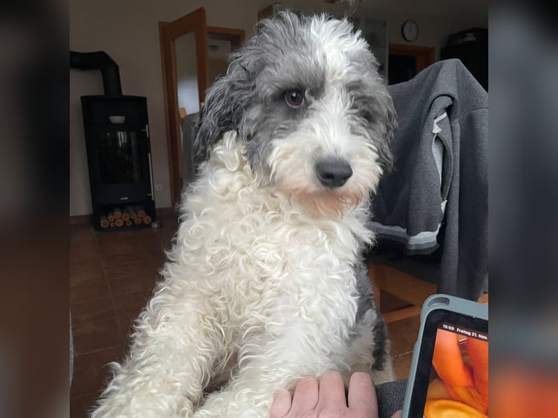 Lui - dem Elend entkommen.  Jetzt sucht Lui Menschen, die ihn "sehen"  und verstehen