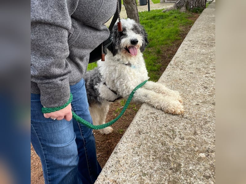 Lui - dem Elend entkommen.  Jetzt sucht Lui Menschen, die ihn "sehen"  und verstehen